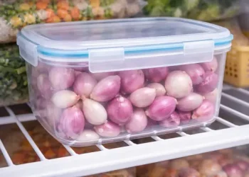 Tips Menyimpan Bawang Kupas Banyak Agar Tetap Segar dan Tidak Berlendir