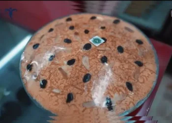 Tren Snackpacking Meningkatkan Daya Tarik Kuliner dari Manado ke Bandung